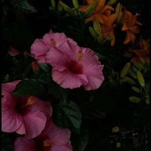 Meet your Posher, Intentionally